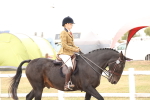 SBM_16457