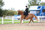 SBM_03424