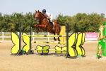 SBM_002219