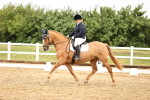 SBM_005345
