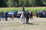 WJ6_7922