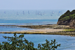 z2935 Round the Island Race
