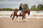 SBM_05937