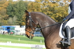 251023A-102515-03120