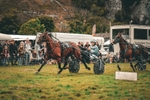 DSCF7174