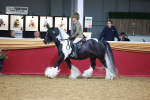 SBM_06268