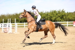 SBM_002161