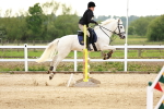 SBM_009488