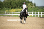 SBM_008008