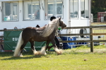 SBM_08957