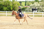 SBM_006622
