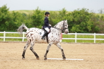 SBM_005916