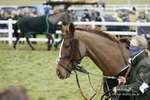 PtP 020122 264