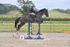 BPP_6092