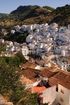 Casares