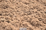 231122A-101012-00022