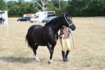 WJ7_8043