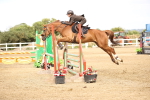 SBM_004797