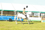 SBM_10733