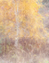 NOVEMBER BIRCH - NORFOLK COUNTY