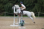 Sunday 10th - Western Counties Arena portfolio