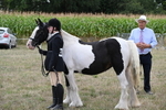 WJ6_5696