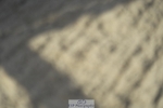 230909-101112-04793