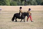 WJ6_7388