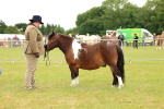 SBM_04381
