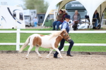 SBM_05872