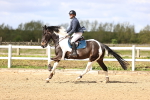 SBM_003355