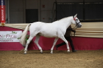 SBM_05486