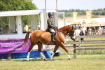 SBM_15041