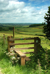 Country Stile