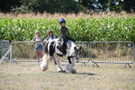 WJ6_8962
