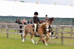 SBM_08099