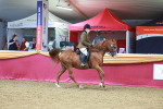 SBM_05190
