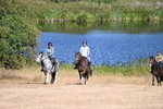 WJ6_7755