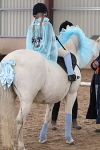 SIAL5641
