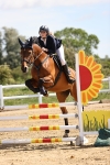 Class 9 - Senior British Novice - 90cm portfolio