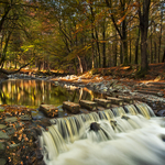 The Stepping Stones
