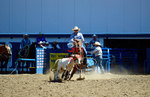 3HRodeo8-11-25_PRCASteer_02437_