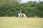 WJ6_1453