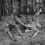 Sutton Hoo-2