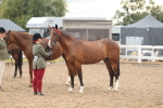 SBM_07772
