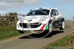 HAMILTONS FOLLY 9