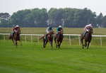 Race 1 14.15pm British EBF Fillies' Novice Stakes portfolio