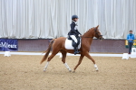 SBM_001390