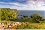 The Green Fields, Murlough Bay (IMG1021)