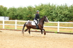 SBM_000565